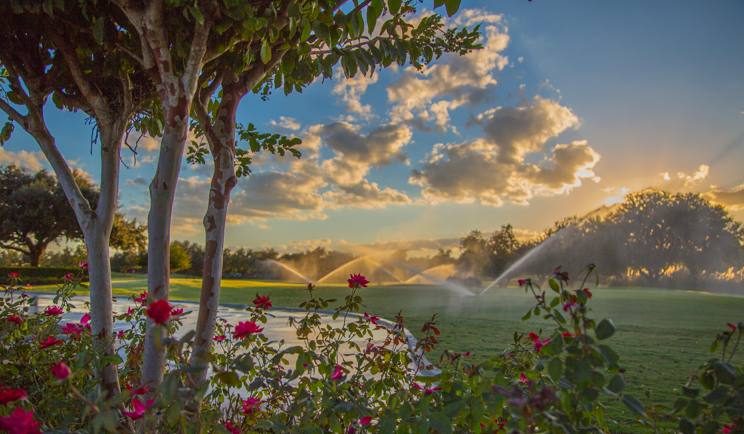 Weston Lakes Texas